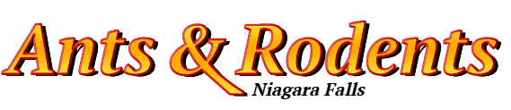 Niagara Falls Ant Exterminator & Rodent Control Company Logo